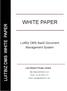 WHITE PAPER. LuitBiz DMS SaaS Document Management System. Luit Infotech Private Limited