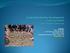 Facilitator: Julie E. Owen, PhD Asst. Professor, Leadership Studies New Century College George Mason University, Fairfax, Virginia, USA