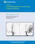 Practical Management of Acute Stroke: A Global Perspective