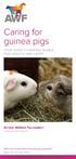 Caring for guinea pigs