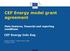 CEF Energy model grant agreement