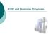 ERP and Business Processes