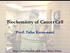 Biochemistry of Cancer Cell