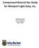 Compressed Natural Gas Study for Westport Light Duty, Inc. Kelley Blue Book Irvine, California April 3, 2012
