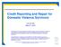 Credit Reporting and Repair for Domestic Violence Survivors