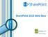 SharePoint 2013 Web Sites
