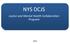 NYS DCJS. Justice and Mental Health Collaboration Program