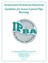 INTERNATIONAL PIPE BURSTING ASSOCIATION. Guideline for Sewer Lateral Pipe Bursting