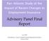 Advisory Panel Final Report