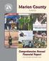 COMPREHENSIVE ANNUAL FINANCIAL REPORT