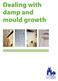 Dealing with damp and mould growth
