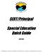 SERT/Principal. Special Education Quick Guide 2008/2009