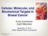 Cellular, Molecular, and Biochemical Targets in Breast Cancer