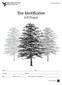 Tree Identification 4-H Project