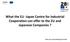 What the EU -Japan Centre for Industrial Cooperation can offer to the EU and Japanese Companies? Silviu Jora, General Manager (EU side)
