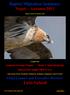Raptor Migration Summary Nepal Autumn 2013. Report Issued: 20 January 2014. Compiled By: Robert DeCandido PhD (USA)
