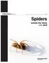 HOMEOWNER Guide to by Edward John Bechinski, Dennis J. Schotzko, and Craig R. Baird BUL 871. Spiders. around the home and yard