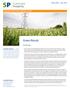 Green Bonds 1. Policy Brief June 2012 ECONOMY-WIDE AND EMERGING ISSUES. Key Messages