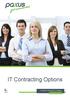 IT Contracting Options
