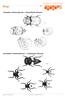 Student worksheet. Bugs. Complete metamorphosis Dung Beetle lifecycle. Incomplete metamorphosis Leafhopper lifecycle
