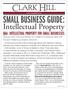 Personal Injury - Legal Defenses to Protect Your Intellectual Property Rights