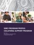 SSBCI PROGRAM PROFILE: COLLATERAL SUPPORT PROGRAM. May 17, 2011 State Small Business Credit Initiative (SSBCI) U.S. Department of the Treasury