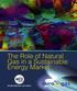 The Role of Natural Gas in a Sustainable Energy Market