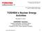 TOSHIBA s Nuclear Energy Activities