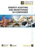 ENERGY AUDITING AND MONITORING IN COMPANIES