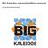 BIG Kaleidos network edition manual. For System Administrators