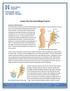Lumbar Disc Herniation/Bulge Protocol