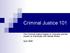 Criminal Justice 101. The Criminal Justice System in Colorado and the Impact on Individuals with Mental Illness. April 2009