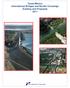 Texas-Mexico International Bridges and Border Crossings Existing and Proposed 2011