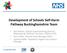 Development of Schools Self-Harm Pathway Buckinghamshire Team