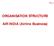 ORGANISATION STRUCTURE. AIR INDIA (Airline Business)