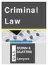 Criminal Law. The Nature of Criminal Law. Our Criminal Law Team