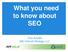 What you need to know about SEO. Tina Arnoldi 360 Internet Strategy LLC