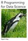 R Programming for Data Science