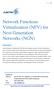 Network Functions Virtualization (NFV) for Next Generation Networks (NGN)