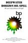 Deepwater Horizon Oil Spill. BP 2010 Gulf of Mexico Oil Spill