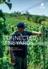 CONNECTED VINEYARDS. How the Internet of Things is enhancing the winemaking industry