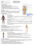 Body Planes & Directions Anatomic Reference Systems (Unit 6, pp. 110-112)