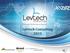 Levtech Consulting 2013