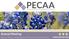 Annual Meeting. May 2-4, 2014 Hyatt Regency Hill Country San Antonio, TX. www.pecaa.com