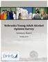 Nebraska Young Adult Alcohol Opinion Survey. Summary Report