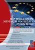 BCP MsCI europe MInIMuM VoLatILIty Index Bond