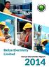 Belize Electricity Limited Annual Shareholder Report