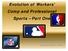 Evolution of Workers Comp and Professional Sports Part One. Rona Finkelstein, IWIF Michael Stiltner, LWCC