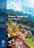 WMO-No. 1063. Climate, Carbon and Coral Reefs