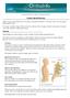Lumbar Spinal Stenosis